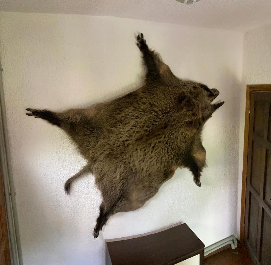 Къща Дьовлень/House Dyovlen Otel Dövlen Dış mekan fotoğraf